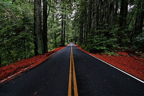 Redwood road. Things To Know About Redwood road. 